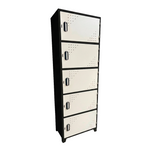 Locker Metálico Vertical de 5 Puertas con Ventilación